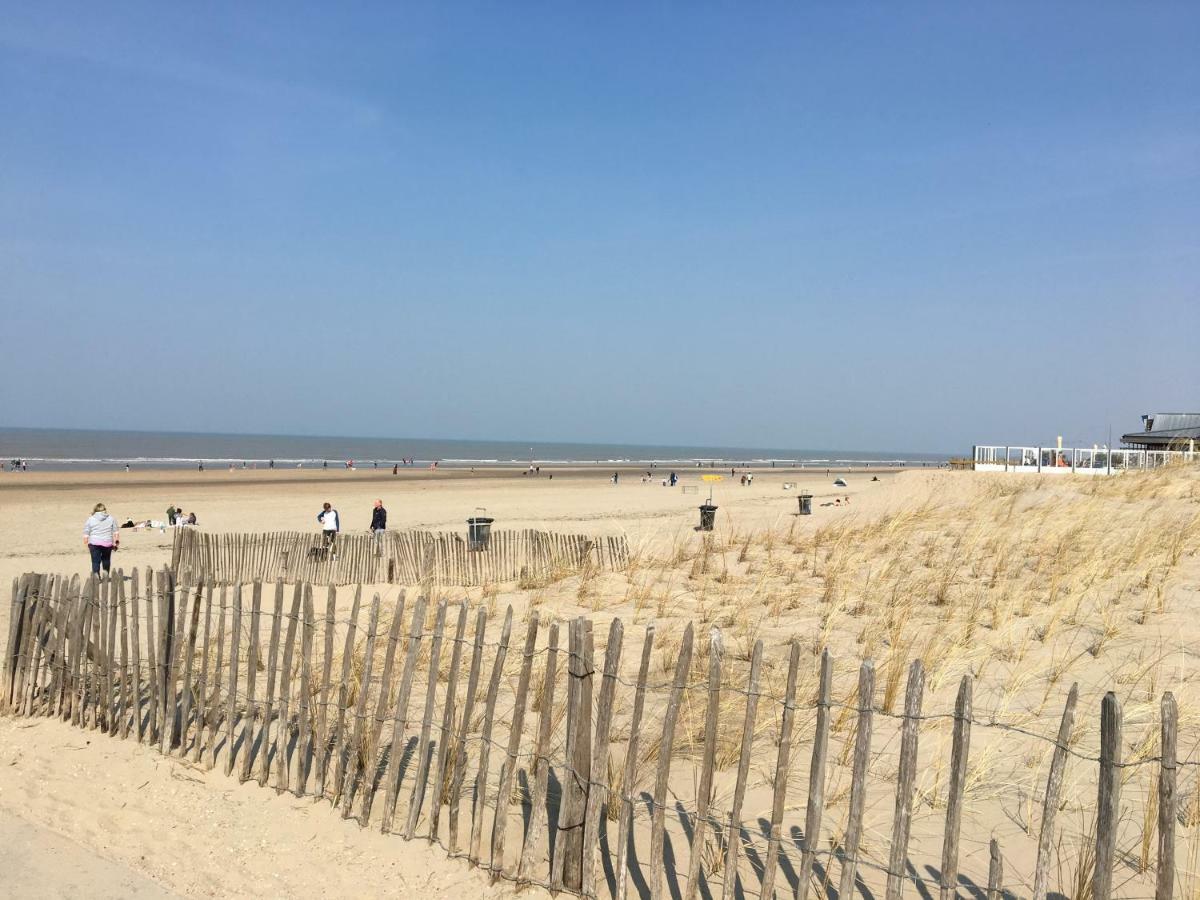 Amsterdam Beach Home 4 Zandvoort Eksteriør billede